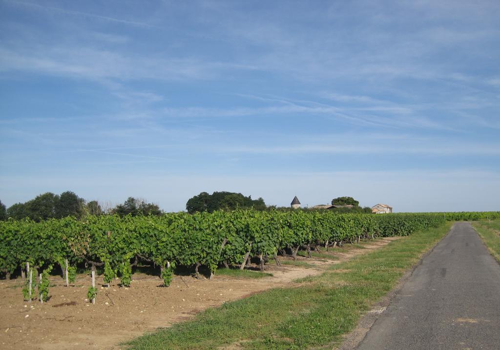 Vila La Petite Grange Lorignac Exteriér fotografie